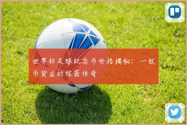 世界杯足球纪念币价格揭秘：一枚币背后的绿茵传奇