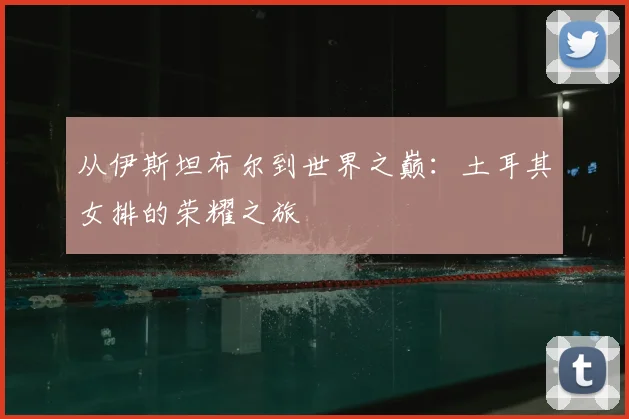 从伊斯坦布尔到世界之巅：土耳其女排的荣耀之旅