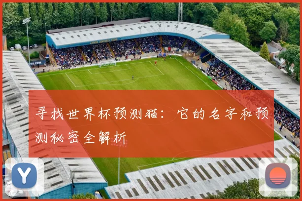 寻找世界杯预测猫：它的名字和预测秘密全解析