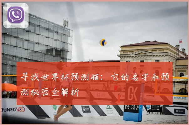 寻找世界杯预测猫：它的名字和预测秘密全解析