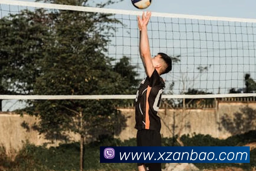 kaiyun公司发展历程