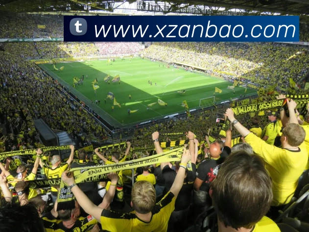 高清赛事解说